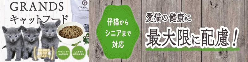 �p���J���v���~�A���L���b�g�t�[�h�yGRANDS�i�O�����c�j�z���T�C�g